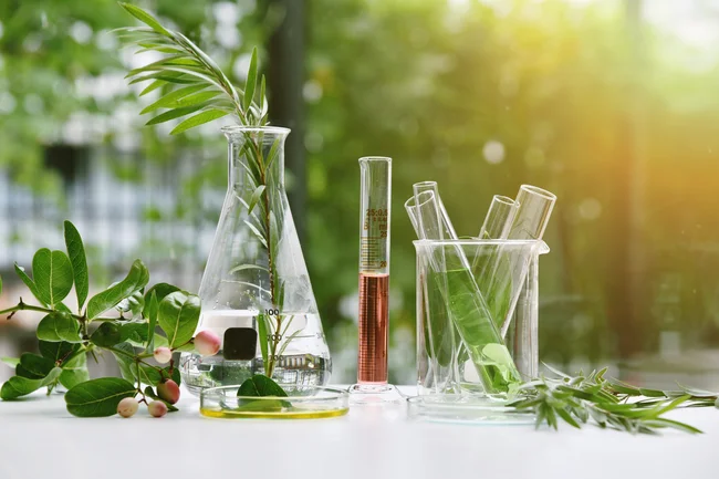 des branches de plantes sont posées sur une table et dans un vase d'eau pure pour évoquer la démarche éco-responsable et bio