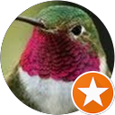 Petit Colibri DB profile picture